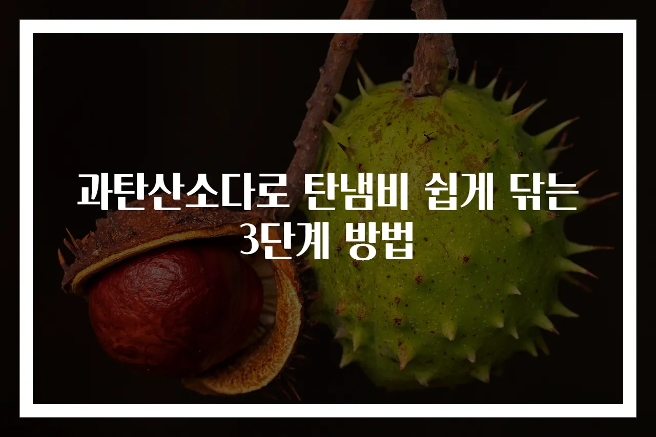 과탄산소다로 탄냄비 쉽게 닦는 3단계 방법