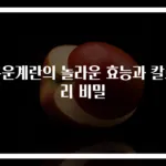 구운계란의 놀라운 효능과 칼로리 비밀