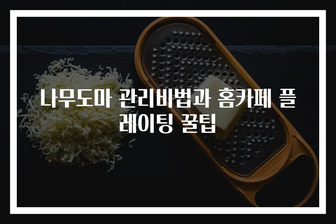 나무도마 관리비법과 홈카페 플레이팅 꿀팁