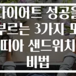 다이어트 성공을 부르는 3가지 또띠아 샌드위치 비법