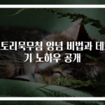 도토리묵무침 양념 비법과 데치기 노하우 공개