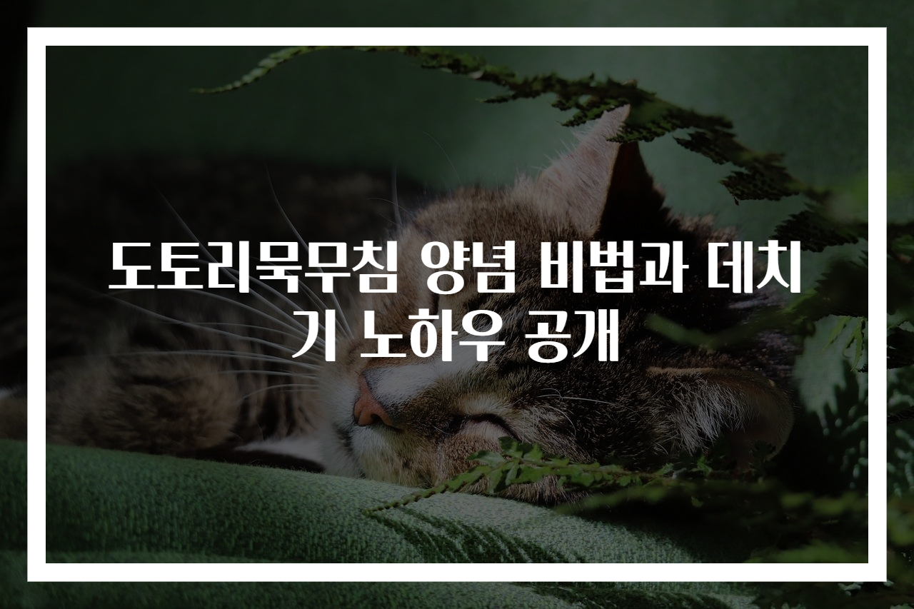 도토리묵무침 양념 비법과 데치기 노하우 공개