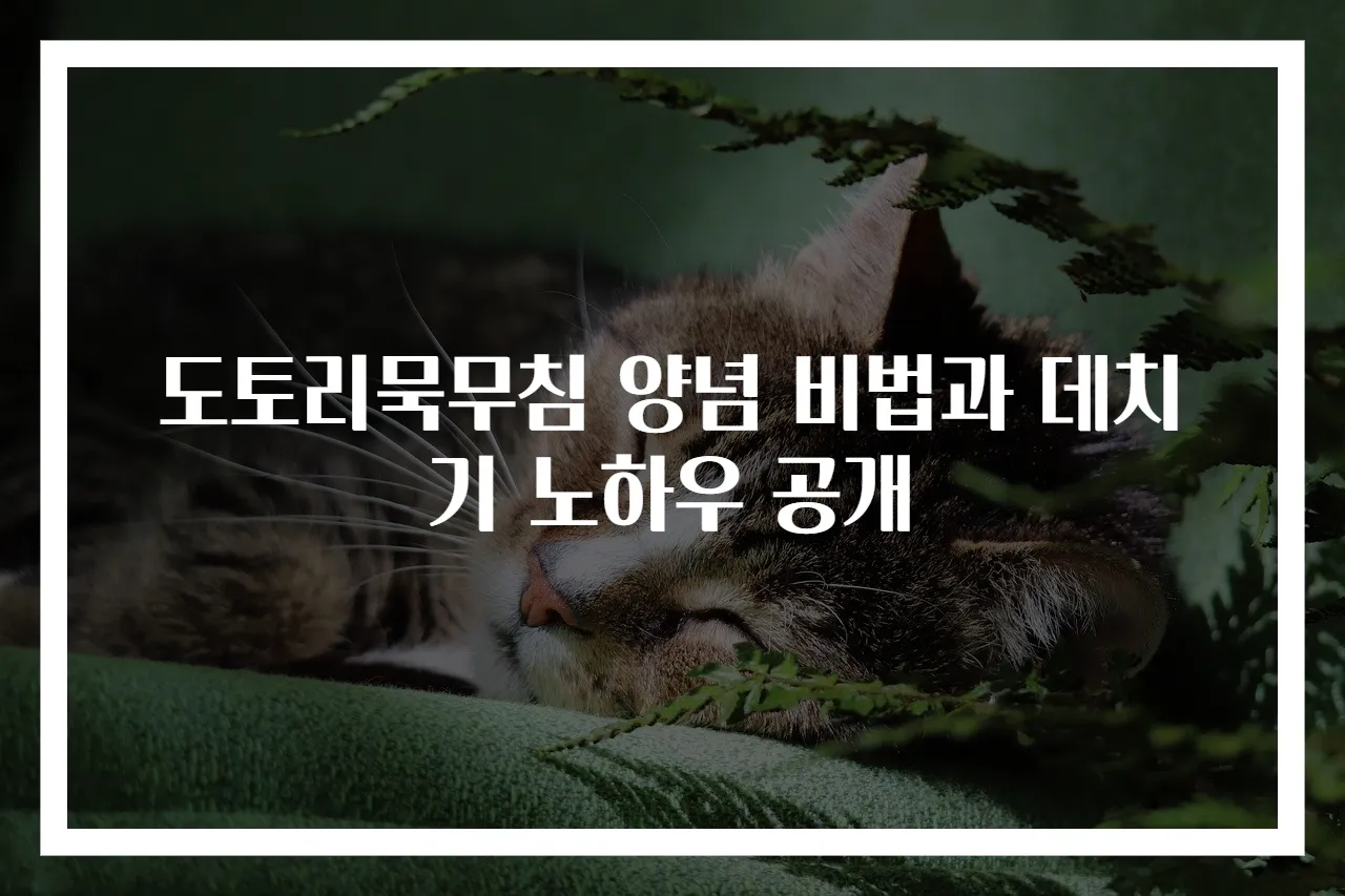 도토리묵무침 양념 비법과 데치기 노하우 공개