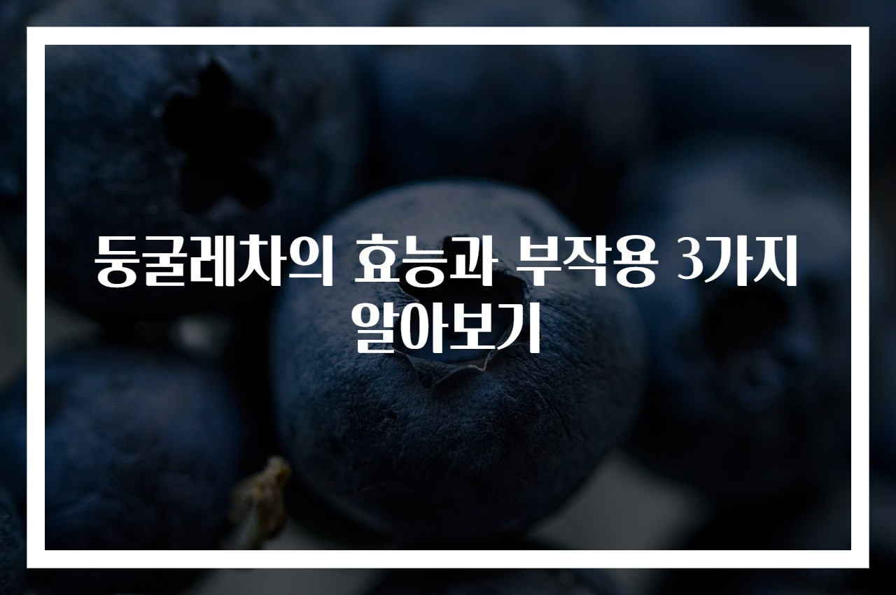 둥굴레차의 효능과 부작용 3가지 알아보기