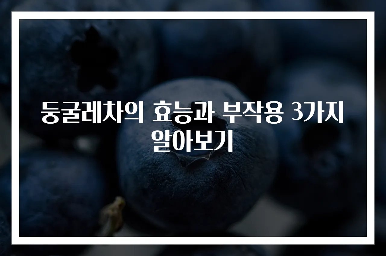 둥굴레차의 효능과 부작용 3가지 알아보기