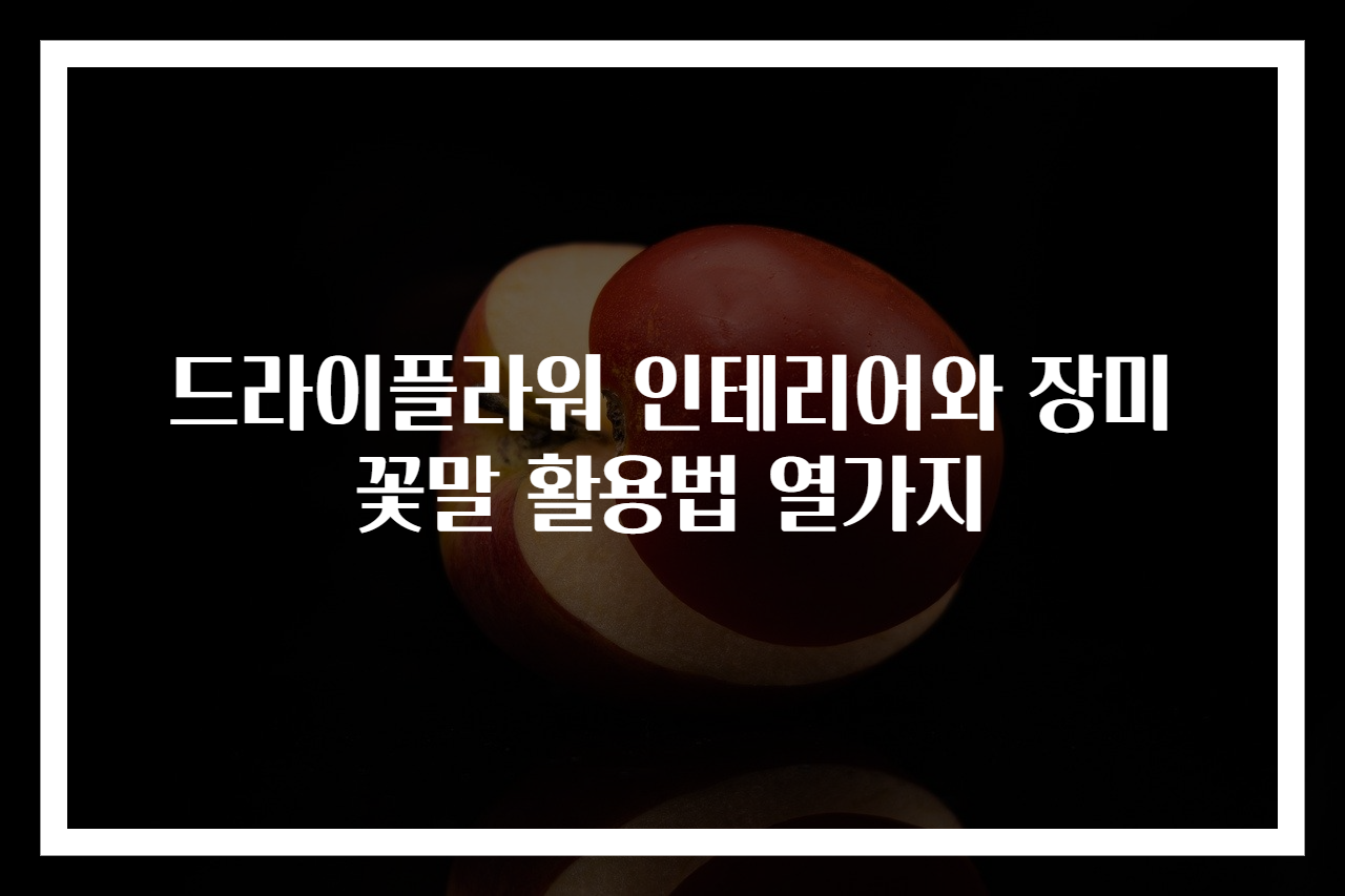 드라이플라워 인테리어와 장미꽃말 활용법 열가지