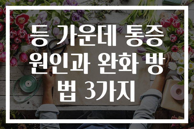 등 가운데 통증 원인과 완화 방법 3가지