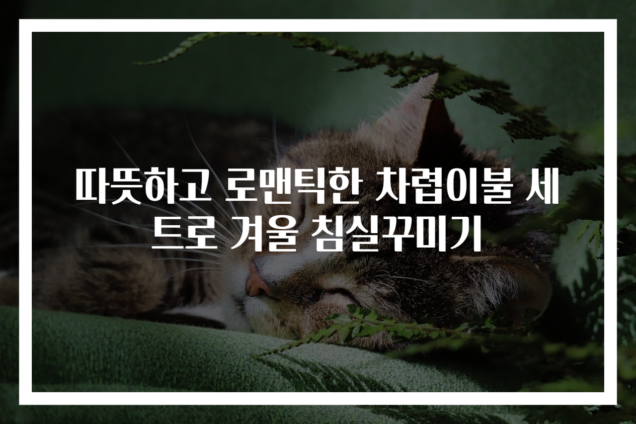따뜻하고 로맨틱한 차렵이불 세트로 겨울 침실꾸미기