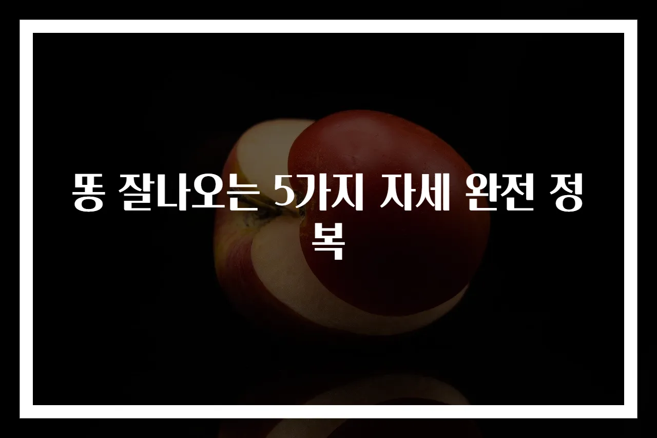 똥 잘나오는 5가지 자세 완전 정복