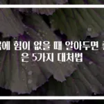 몸에 힘이 없을 때 알아두면 좋은 5가지 대처법