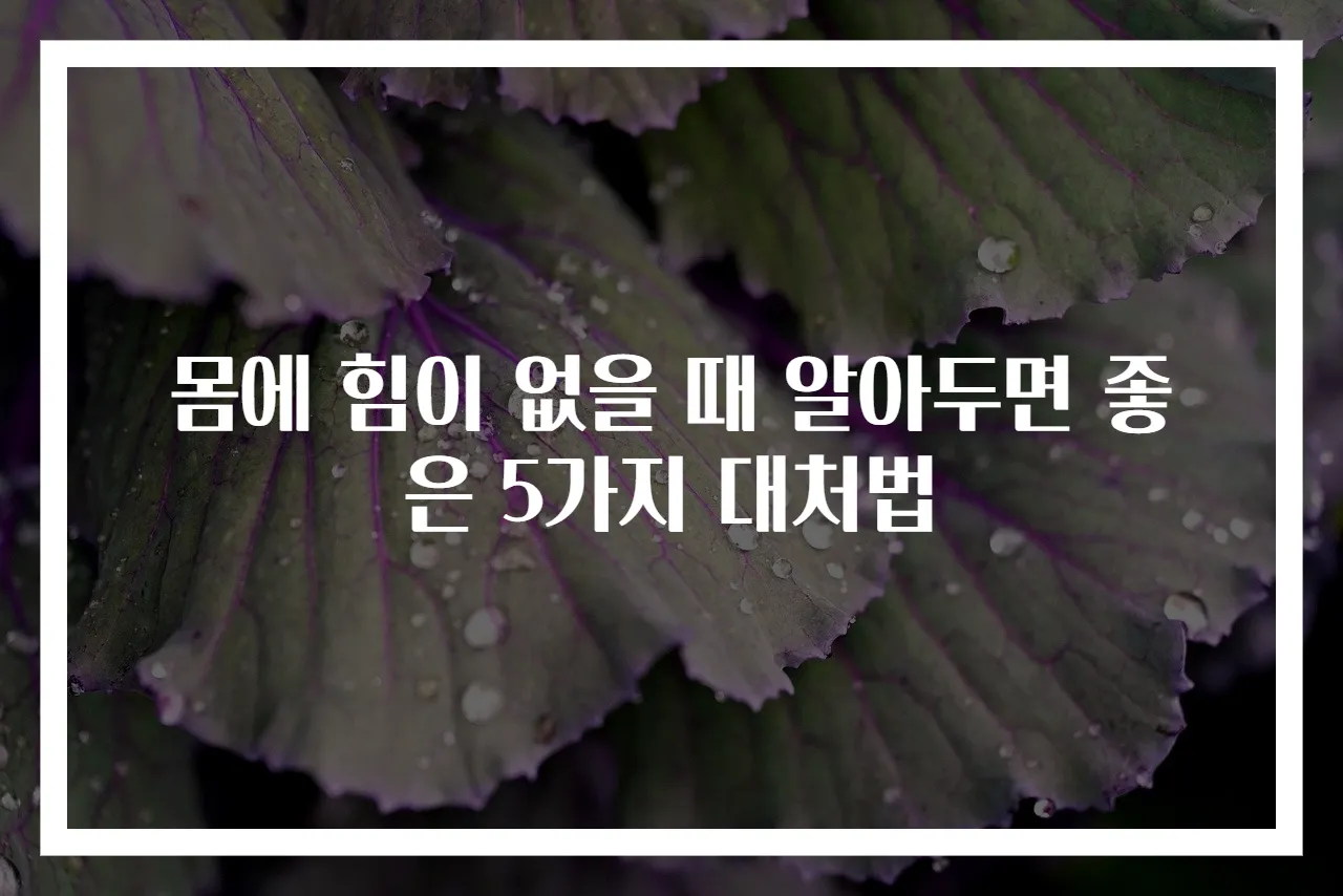몸에 힘이 없을 때 알아두면 좋은 5가지 대처법