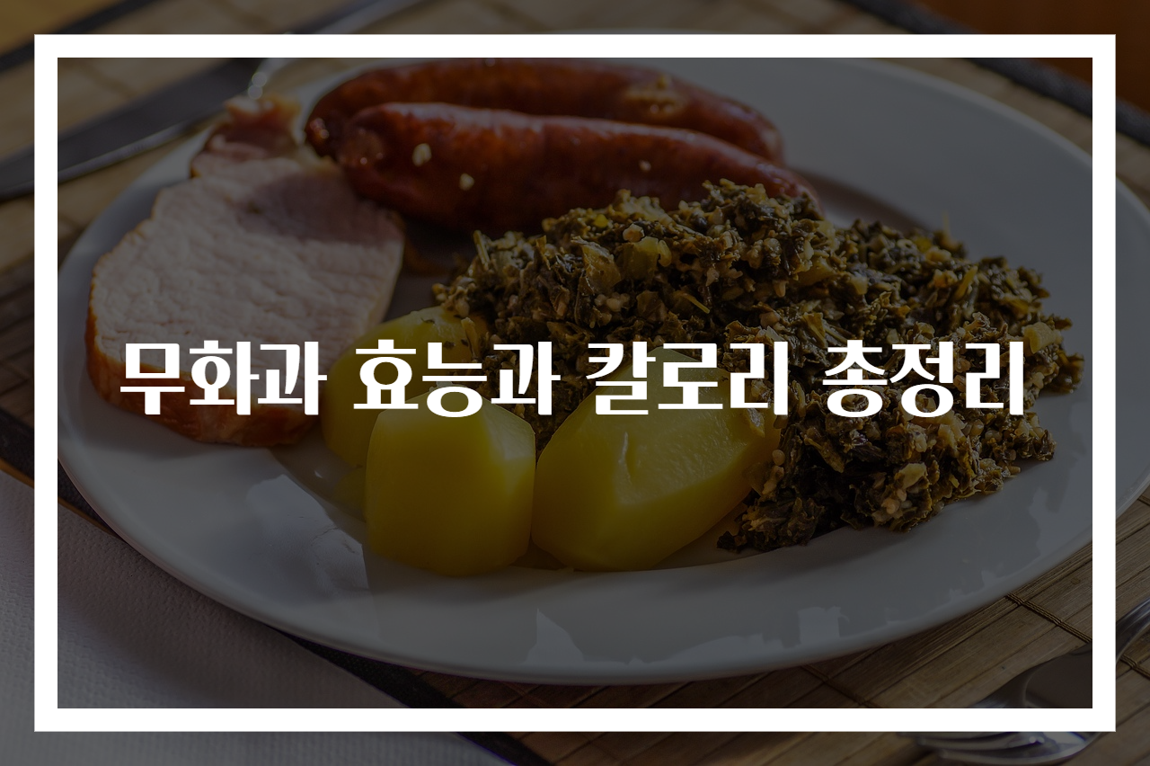 무화과 효능과 칼로리 총정리