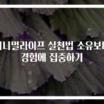 미니멀라이프 실천법 소유보다 경험에 집중하기