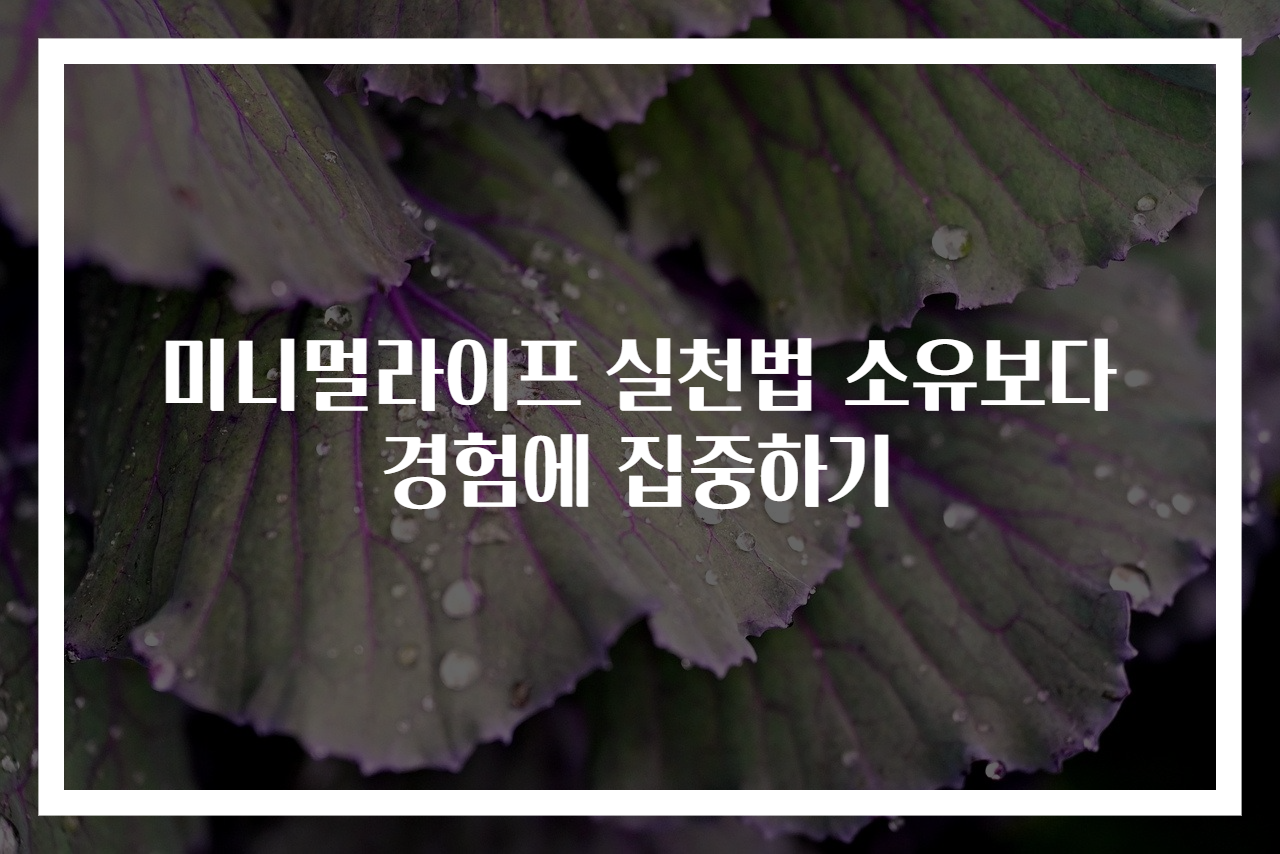 미니멀라이프 실천법 소유보다 경험에 집중하기