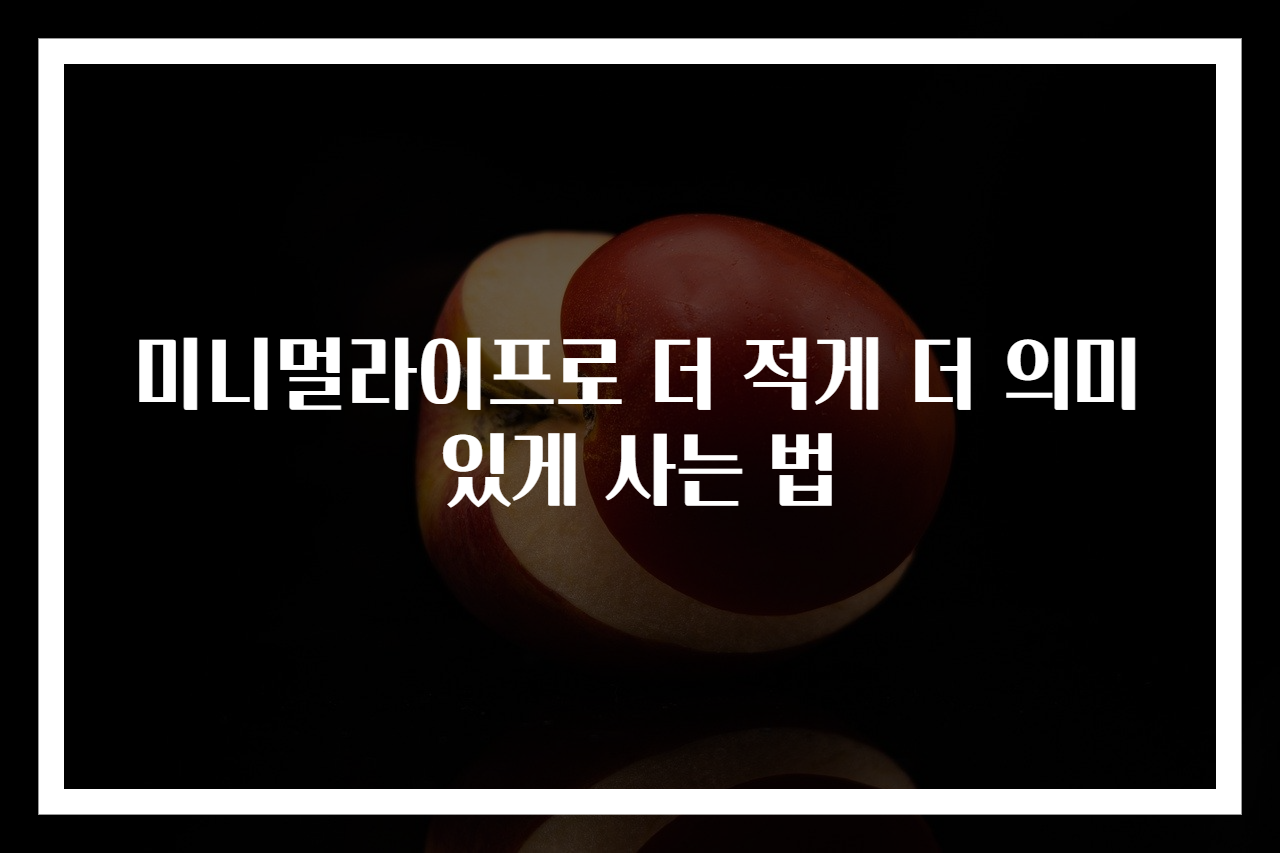 미니멀라이프로 더 적게 더 의미 있게 사는 법