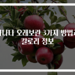 바나나 오래보관 3가지 방법과 칼로리 정보