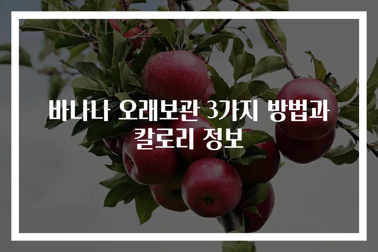 바나나 오래보관 3가지 방법과 칼로리 정보