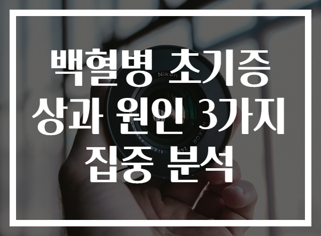 백혈병 초기증상과 원인 3가지 집중 분석