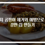 벽지 곰팡이 제거와 예방으로 건강한 집 만들기