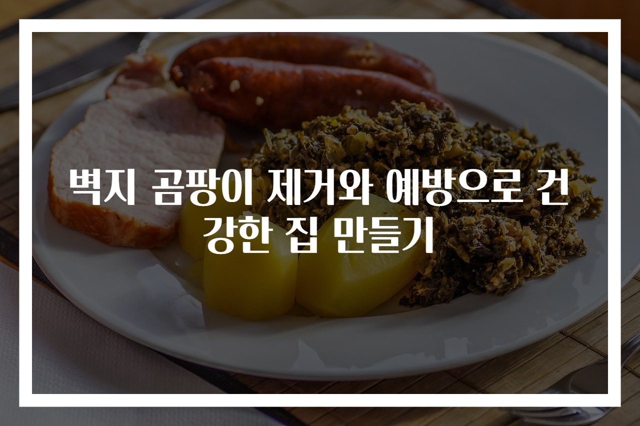 벽지 곰팡이 제거와 예방으로 건강한 집 만들기