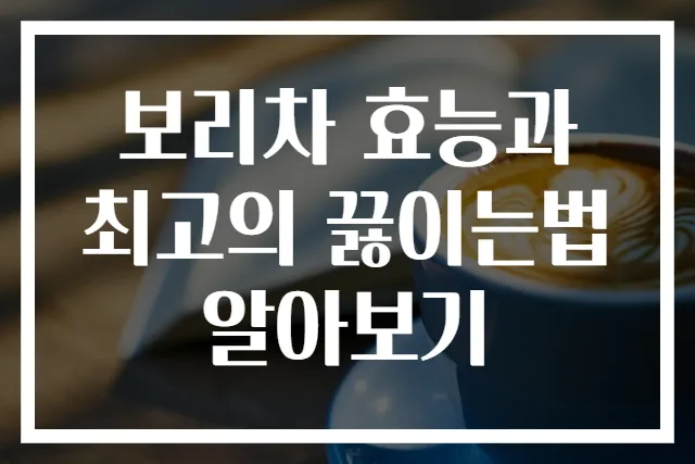보리차 효능과 최고의 끓이는법 알아보기