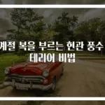 사계절 복을 부르는 현관 풍수 인테리어 비법