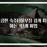 상큼한 숙주나물무침 쉽게 따라하는 3단계 비법