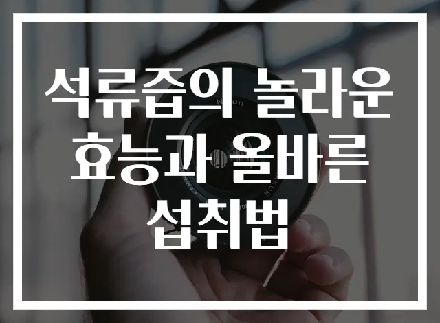 석류즙의 놀라운 효능과 올바른 섭취법