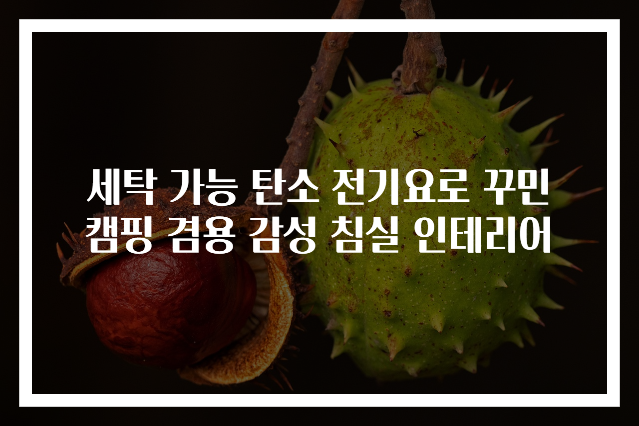 세탁 가능 탄소 전기요로 꾸민 캠핑 겸용 감성 침실 인테리어