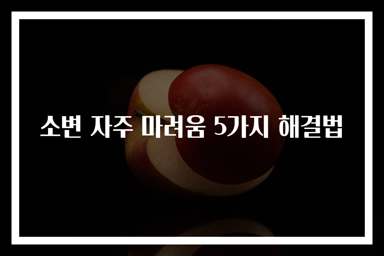 소변 자주 마려움 5가지 해결법