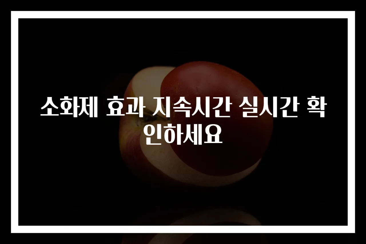 소화제 효과 지속시간 실시간 확인하세요