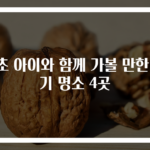 속초 아이와 함께 가볼 만한 인기 명소 4곳