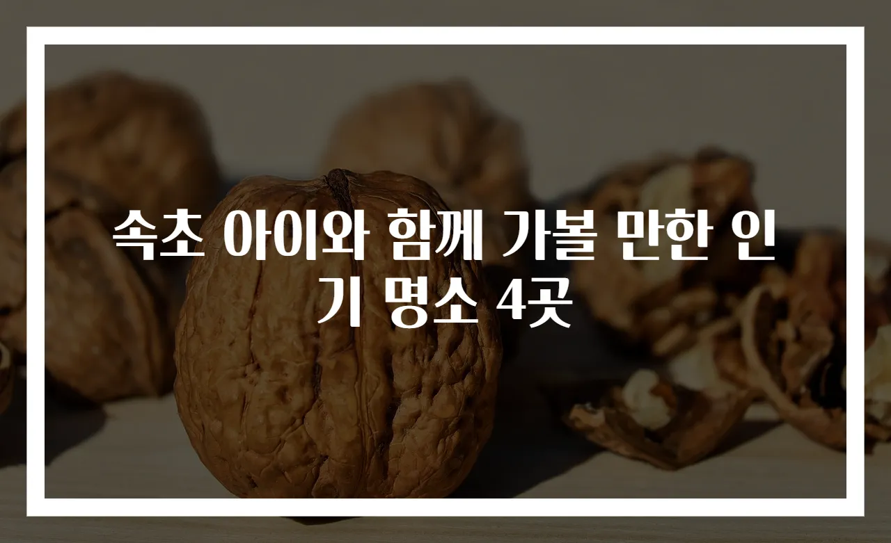 속초 아이와 함께 가볼 만한 인기 명소 4곳