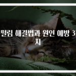 손떨림 해결법과 원인 예방 3가지