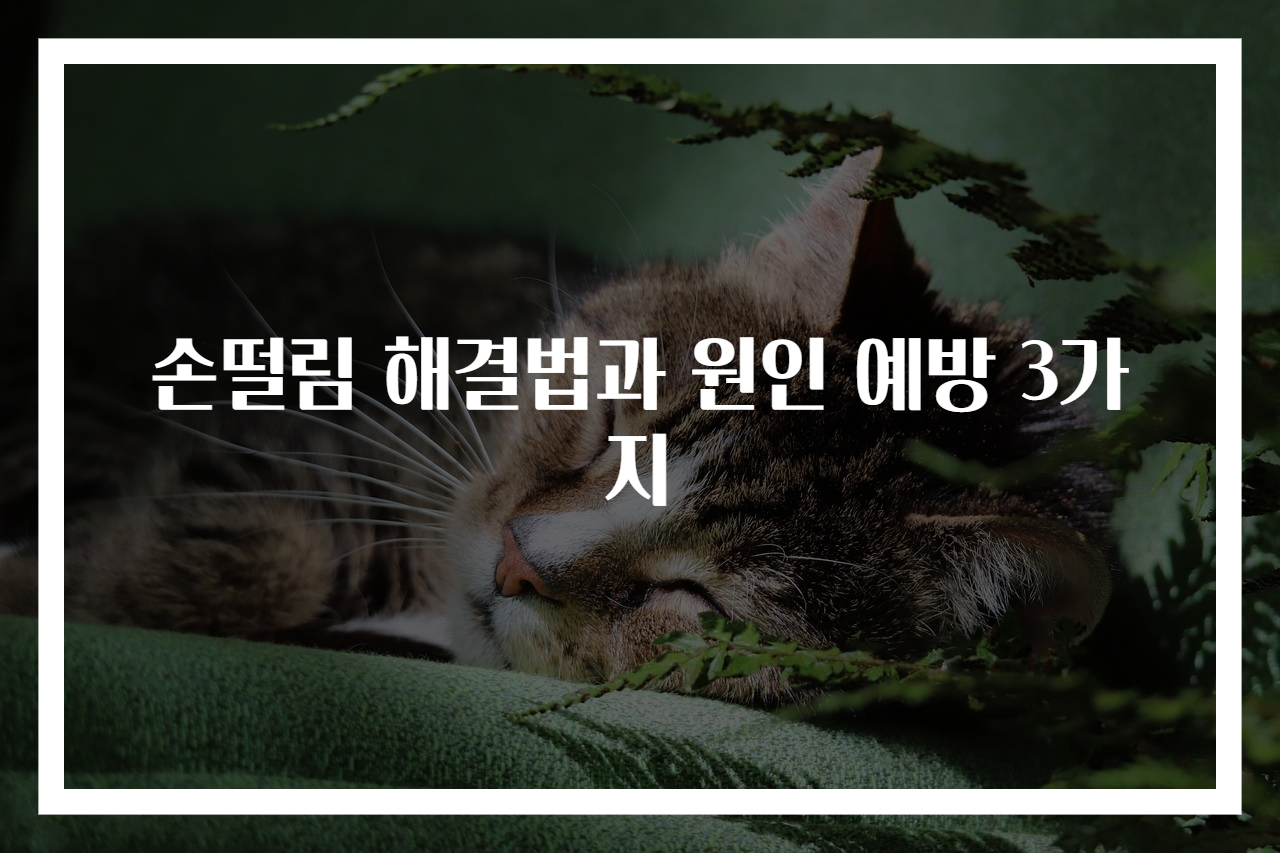 손떨림 해결법과 원인 예방 3가지