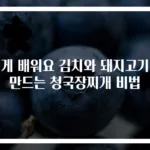 쉽게 배워요 김치와 돼지고기로 만드는 청국장찌개 비법