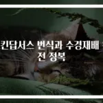 스킨답서스 번식과 수경재배 완전 정복