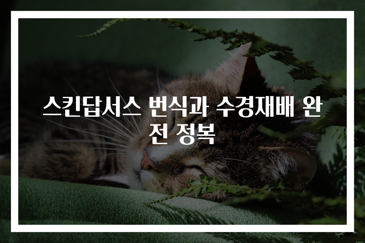 스킨답서스 번식과 수경재배 완전 정복