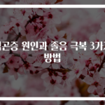 식곤증 원인과 졸음 극복 3가지 방법
