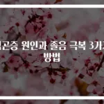 식곤증 원인과 졸음 극복 3가지 방법