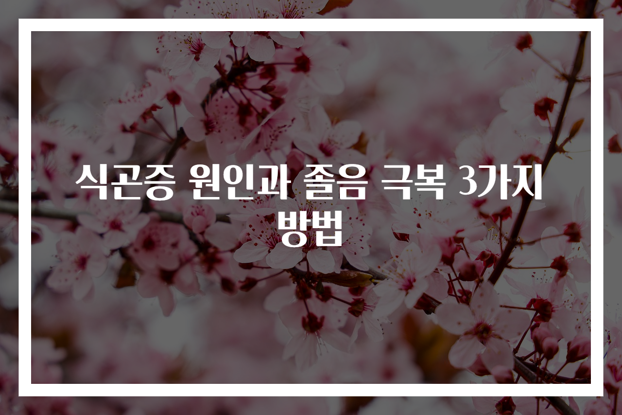 식곤증 원인과 졸음 극복 3가지 방법