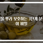 식물 뿌리 보호하는 3단계 분갈이 비밀