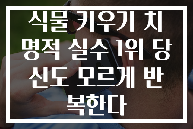 식물 키우기 치명적 실수 1위 당신도 모르게 반복한다