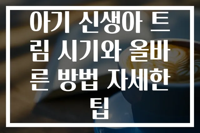 아기 신생아 트림 시기와 올바른 방법 자세한 팁