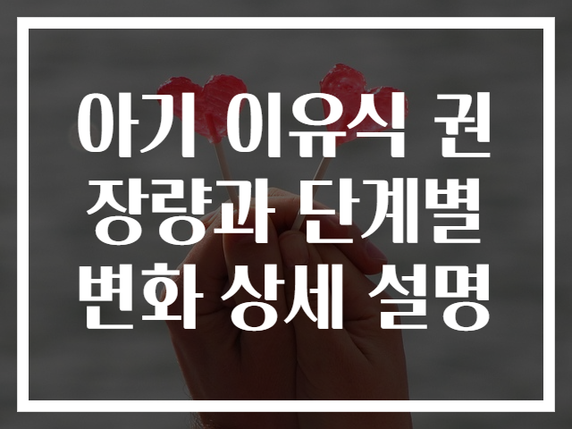 아기 이유식 권장량과 단계별 변화 상세 설명