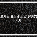 아보카도 효능과 씨앗 발아법 3가지