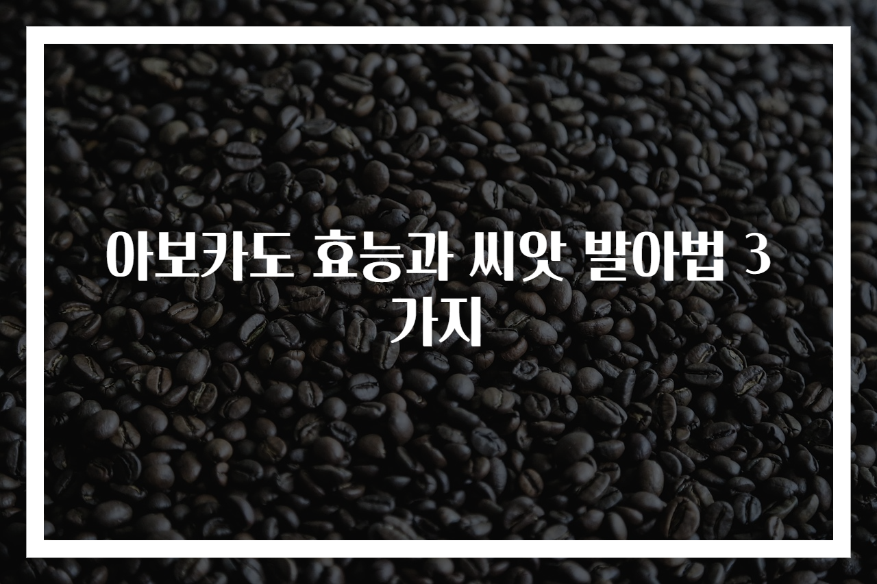 아보카도 효능과 씨앗 발아법 3가지
