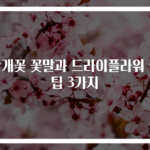 안개꽃 꽃말과 드라이플라워 꿀팁 3가지