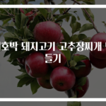 애호박 돼지고기 고추장찌개 만들기