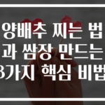 양배추 찌는 법과 쌈장 만드는 3가지 핵심 비법